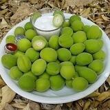 کردی شاد 2019😍