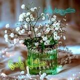 🍃🌼کــوچــه بــاغ گـل یــاس🌼🍃