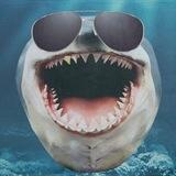 J0E 🐳 Support Chat️
