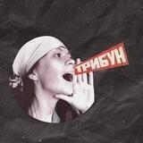 Трибун |