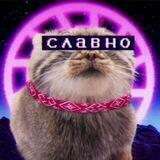Карго-геймеризм 🎮