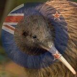 Qurious Kiwi's 🇳🇿