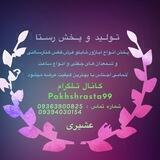 تولید و پخش رستا