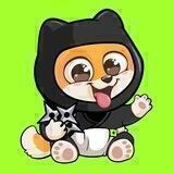 🐕🥷 BabyShinja 🥷🐕