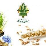 بیمه محصولات کشاورزی پیرانشهر