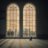 قُـطُـوفٌ دانِـيَةٌ