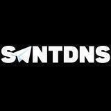 S1NTDNS