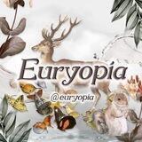 Euryopia : OPEN