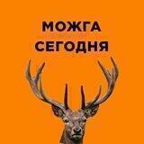 Можга сегодня