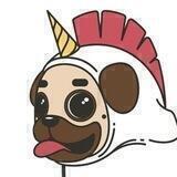 껑껑이의 대화방