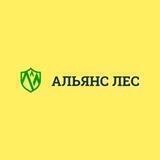 Строй с Альянс-лес