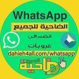 dahieh4all الضاحية للجميع