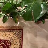 نُـــقْــطَـة .