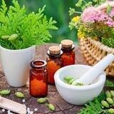 مكتبة الطب الشمولي 🌸