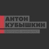 Антон Кубышкин