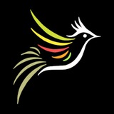 بلبل جان 🕊
