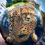 شگفتی و زیباییهای خلقت