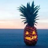 🎃elCaribeño🎃