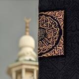 مُهْـجَـة .