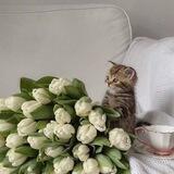 اقتباسات سنابيه📻🌱.
