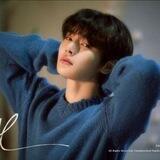 YANG JEONGIN | 양 정인 | STRAY KIDS