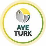 Турецкие сериалы на русском - Aveturk