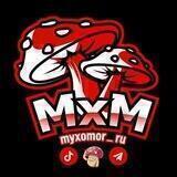 Мухоморы | Микродозинг | Купить
