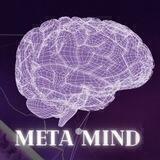 Meta Mind - Ethereum Token, Miner and DAO