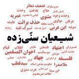 نقد شیعیان سنّی زده