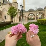 Красивые картинки&обои 🌷🍃