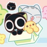 猫窝里面养小鱼