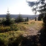 ⚒ Arzgebirgsgeschwurbel 🌲