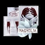 magnolia_family