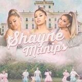 Shayne manips : closed