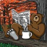 ❌ Problembär 🐻🔎📰