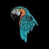 La Guacamaya🦜 🇻🇪