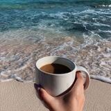 ☕ Cafe Darya 🌊 کافه دریا ☕
