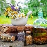 Plantas medicinales y Cultivos
