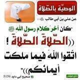 سَنَرحَلُ وِيَبقَى الأثَر...🌴