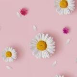 دلبـرونـ💕ــه☽︎☆ ﻿·𓏲 ࣪𓄹៸៸