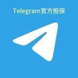 飞机担保公群 （不收管理费 上压流量扶持）