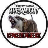 ИНЦИДЕНТ КРАСНОКАМЕНСК
