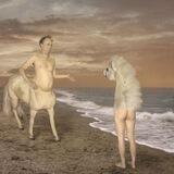 WTF PICTURES
