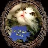 شكرگزارى و شفا♥️