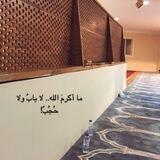 قناة: فَسِيلَة!