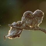 r/PerfectTiming