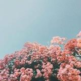 ❲ وهــمِ‌روح ❳