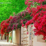 picturegood1 یک تصویر خوب