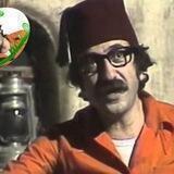 يوميات مواطن مبسوووط