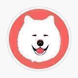 Samoyed Inu